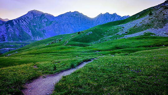 paysage montagne