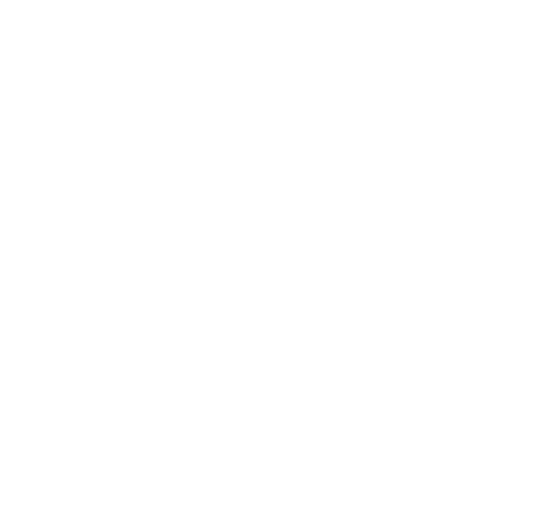 logo VJ Coaching